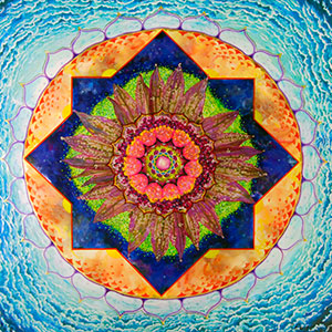 Le Mandala, la roue de la vie
